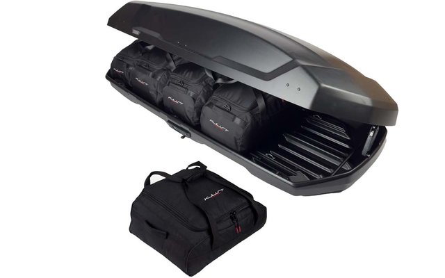 Offene schwarze Dachbox mit drei schwarzen Reisetaschen im Inneren und einer weiteren Tasche davor auf weißem Hintergrund