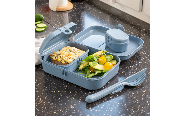 Produktbild Koziol Pascal L Lunchbox mit Trennsteg 1