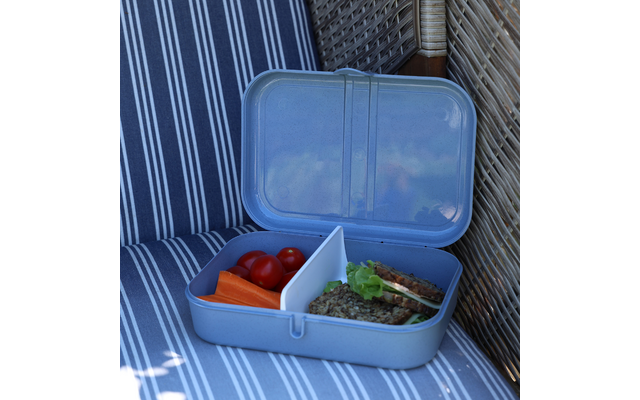 Produktbild Koziol Pascal L Lunchbox mit Trennsteg 1