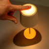 Kleines Produktbild Silwy Magnet-Leuchte Tischleuchte mit Metall-Nano-Gel-Platzset 1