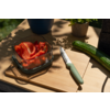 Glazen bakje met in reepjes gesneden rode paprika op houten snijplank, kartelmes met groen handvat ernaast, hele komkommer en potplanten op de achtergrond