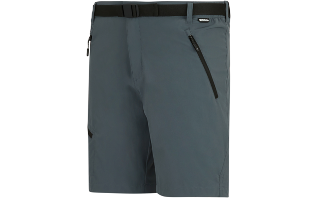 Graue kurze Shorts mit schwarzem Bund und angenähtem Gürtel, diagonaler Reißverschlusstasche an der rechten Vorderseite und kleinem schwarzem Logoetikett am Bund