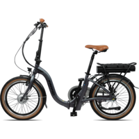 Blaupunkt Foldable E-Bike Franzi Model 2024