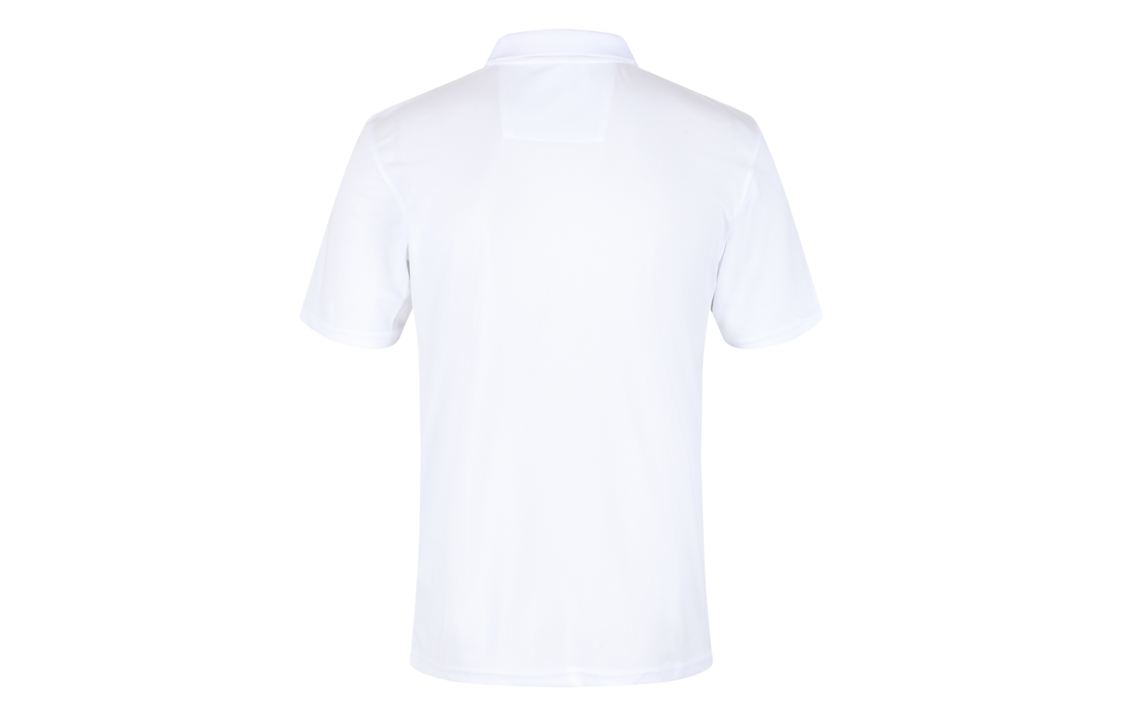 weißes Poloshirt mit kurzen Ärmeln, Rückansicht, Kragen sichtbar, weißer Hintergrund