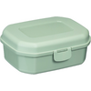 Hellgrüne rechteckige Plastikbox mit abgerundeten Ecken, Deckel mit rechteckiger Vertiefung und vorderem Verschluss