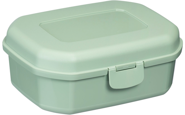 Hellgrüne rechteckige Plastikbox mit abgerundeten Ecken, Deckel mit rechteckiger Vertiefung und vorderem Verschluss
