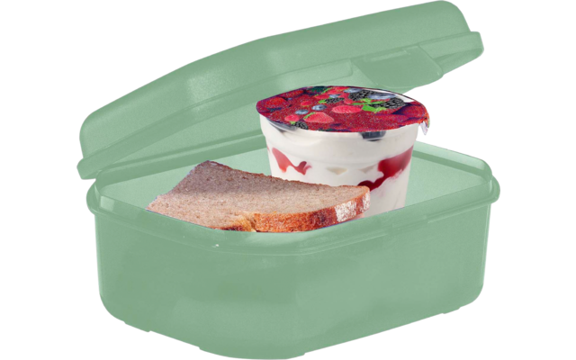 Geöffnete hellgrüne Lunchbox mit einer Scheibe Brot und einem Joghurtbecher; weißer Joghurt mit sichtbarer roter Fruchtschicht, Deckel mit Fruchtmotiv