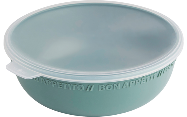 Rotho Tresa Ciotola con coperchio 0,35 litri verde blu