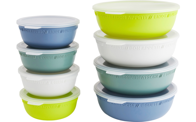 Rotho Tresa bowl with lid 0.35 liters green blue