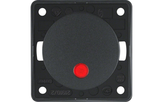 Schwarze elektrische Steckdose mit einem roten Kontrolllämpchen in der Mitte