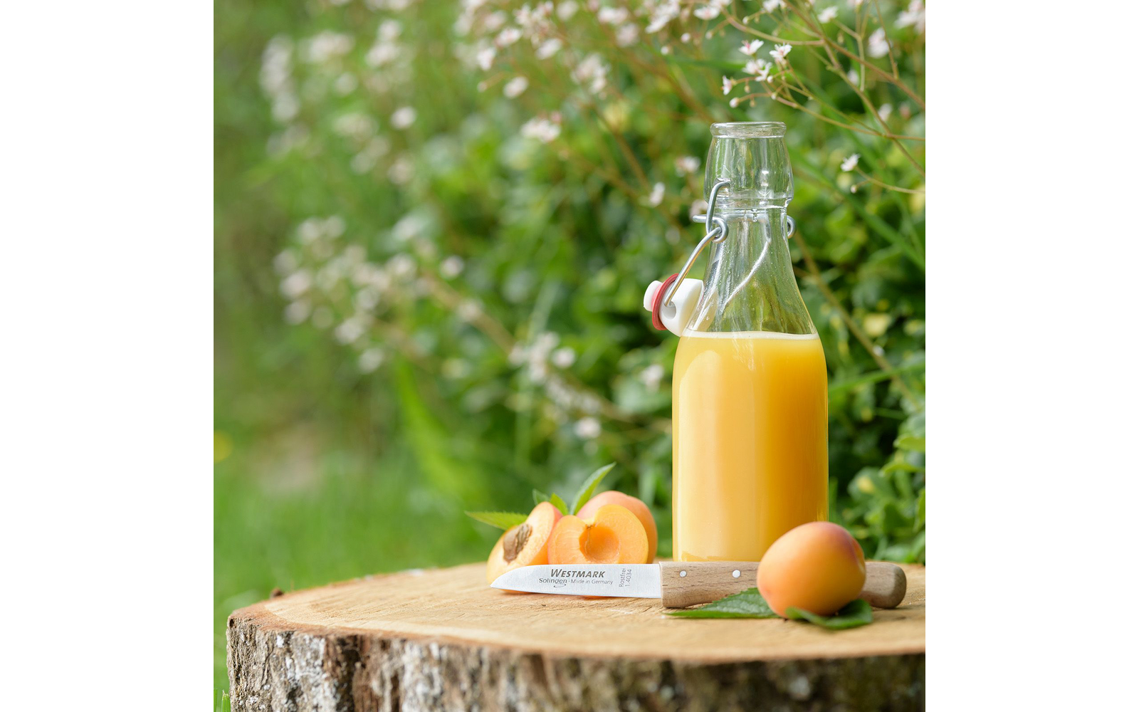 Glasflasche mit orangefarbenem Saft auf einem Baumstumpf, daneben halbe und ganze Aprikosen und ein Messer, unscharfer grüner Hintergrund mit weißen Blüten