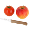 Rote Tomate links, rot-gelbe Apfel rechts, darunter kleines Messer mit Holzgriff und Metallklinge auf weißem Hintergrund