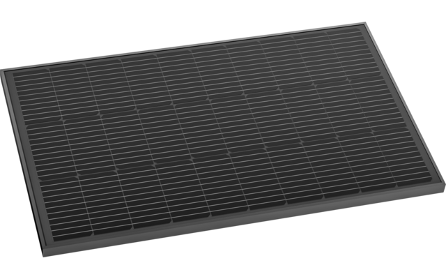 EcoFlow Panneau solaire rigide 2 pièces 100 W