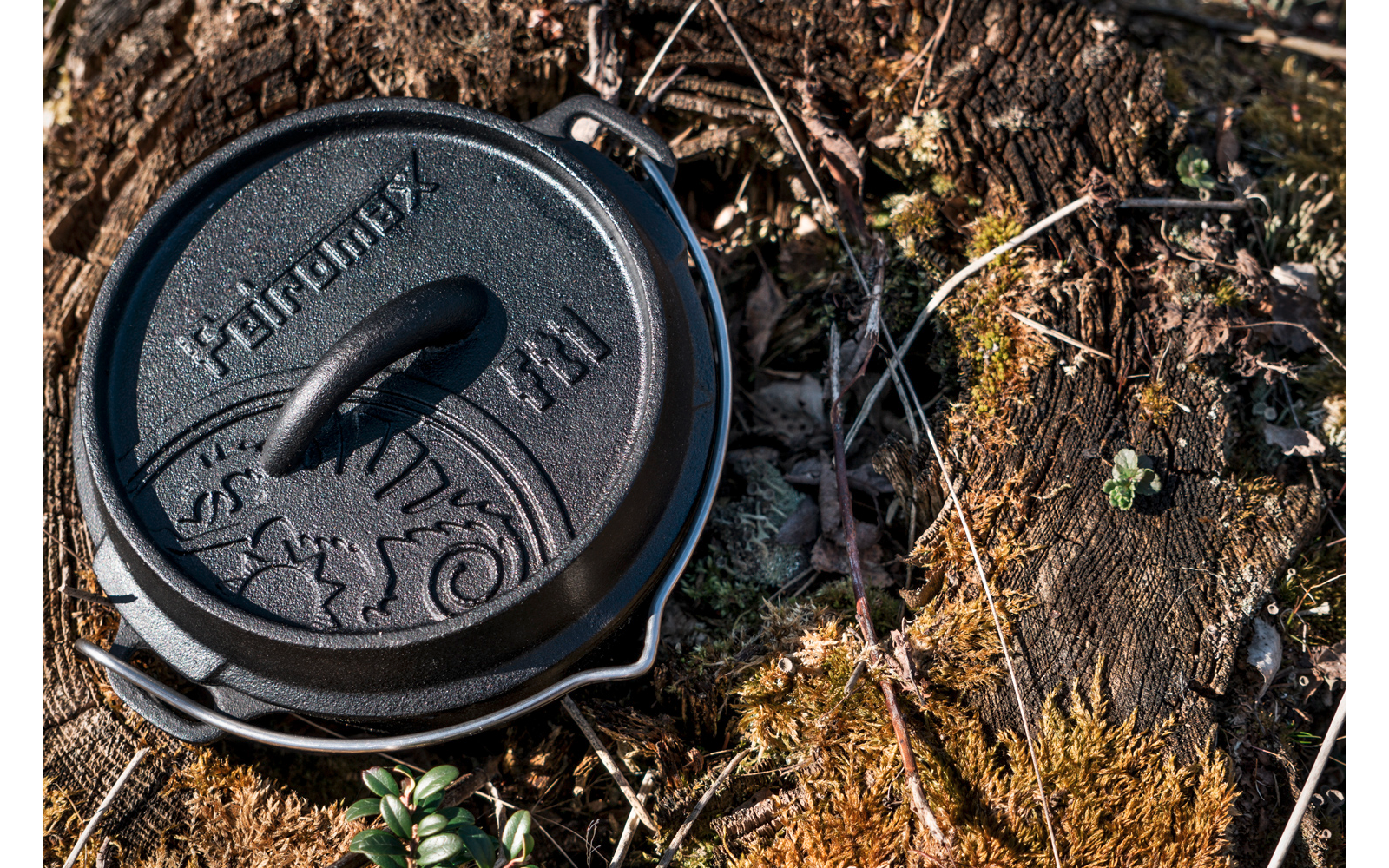 Gusseiserner Deckel mit Griff liegt auf moosigem Waldboden neben einem Baumstamm