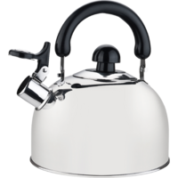Berger kettle stainless steel signal whistle 2 litres