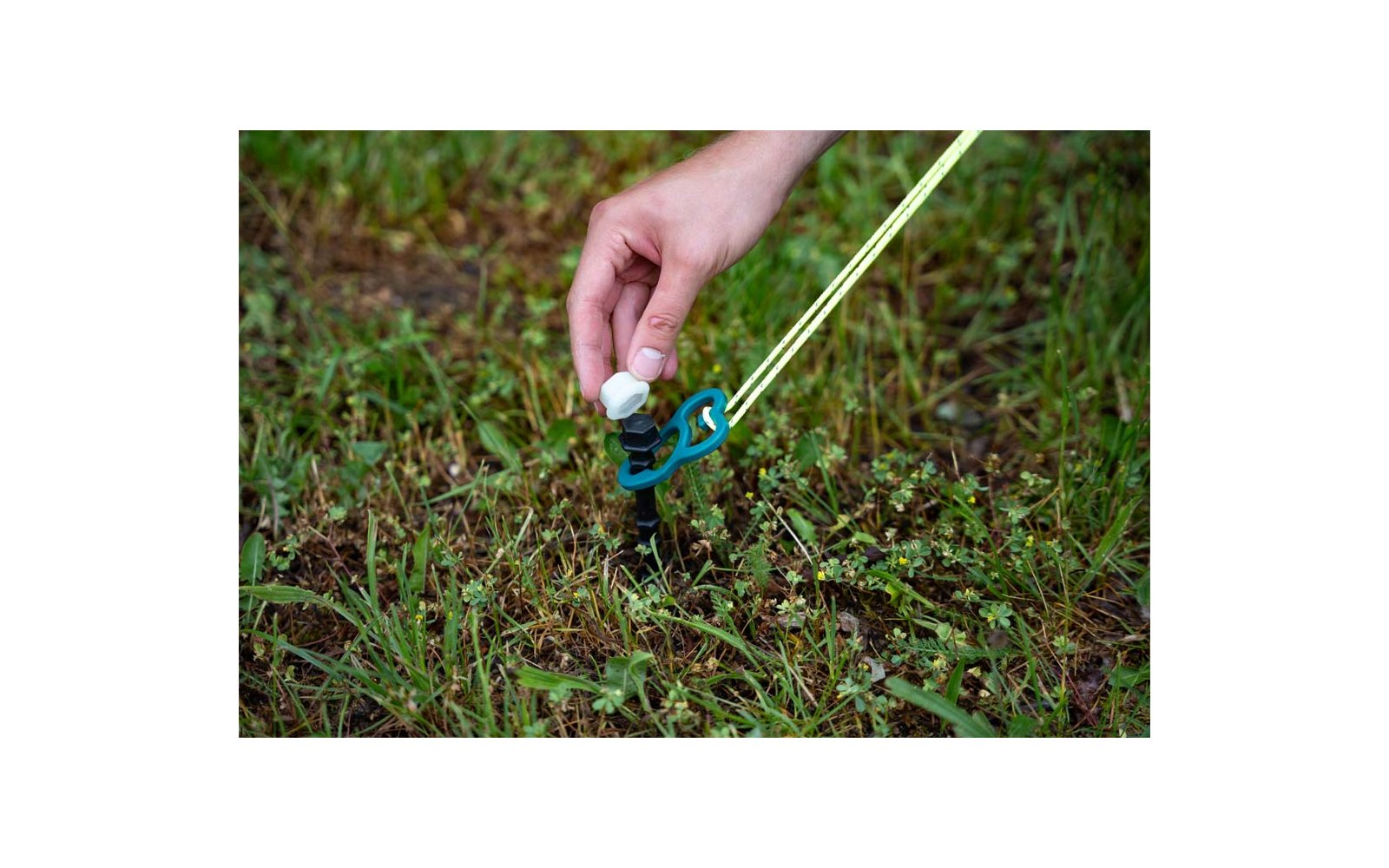 Hand hält weißes Kunststoffteil an blauem Hering mit neon-gelber Leine im Gras