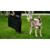 Eine Person trägt eine schwarze faltbare Transportbox, ein Hund steht daneben auf einer Wiese