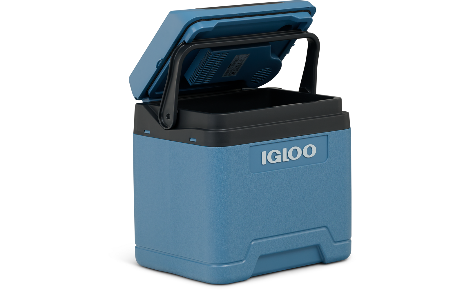 Blaue Igloo-Kühlbox mit offenem Deckel und schwarzem Tragegriff