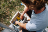 Berger CamperBox L 30 faltbare Multifunktions- und Aufbewahrungsbox grau