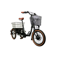 Blaupunkt E-Trike / E-Lastenrad Minna 20 Zoll 250W