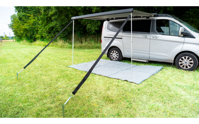 Zilveren camperbus met uitgeklapte zijluifel, twee schuine steunstangen in de grond, geruit picknickkleed op het gras, bomen op de achtergrond