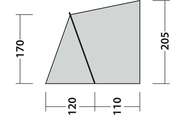 Area poligonale grigia con contorno nero e una linea diagonale nera dalla parte superiore sinistra al bordo inferiore. Bordo inferiore diviso in due segmenti etichettati: '120' a sinistra e '110' a destra. Numeri '170' a sinistra e '205' a destra