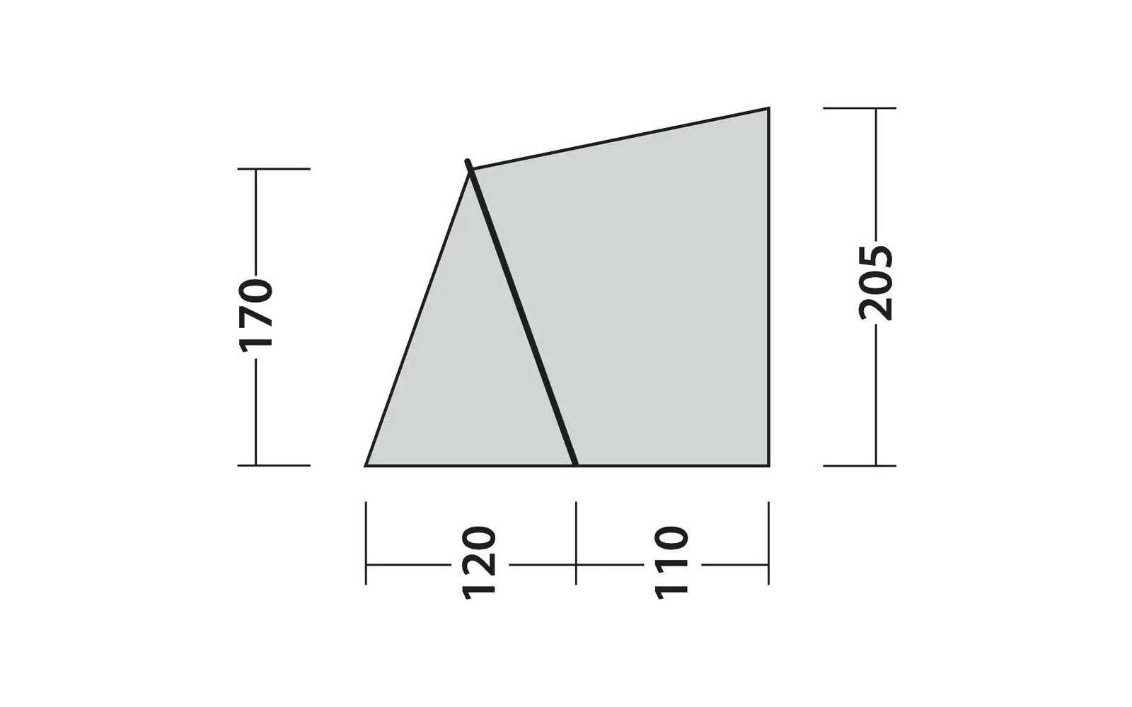 Area poligonale grigia con contorno nero e una linea diagonale nera dalla parte superiore sinistra al bordo inferiore. Bordo inferiore diviso in due segmenti etichettati: '120' a sinistra e '110' a destra. Numeri '170' a sinistra e '205' a destra