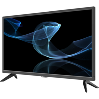 Reflexion Smart Fernseher mit webOS & 6.600 mAh Akku LEDA24OSBT 24 Zoll