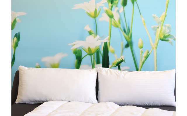 Produktbild Queens Hotelkollektion Kopfkissen 40 x 80 cm Polyester-Mikrofaser 1