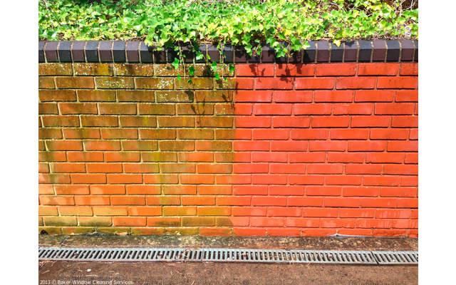 Backsteinmauer mit oberer Ziegelreihe; linke Hälfte verfärbt mit grünen Ablagerungen, rechte Hälfte rote Ziegel; oben hängende grüne Pflanzen, unten Metall-Abflussgitter