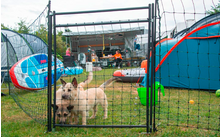 horizontaal Hotgate hek voor horizontaal hondenhok