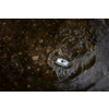 Ein Regenschirm, der auf nassem Asphalt liegt