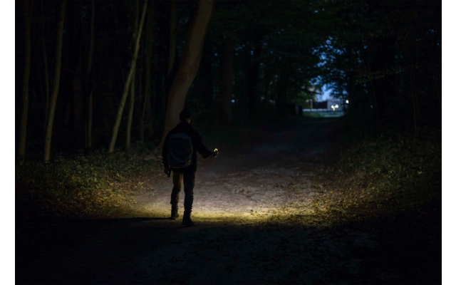 Person mit Taschenlampe in dunklem Wald