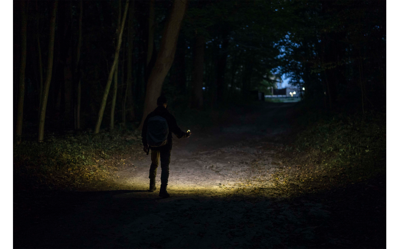Person mit Taschenlampe in dunklem Wald