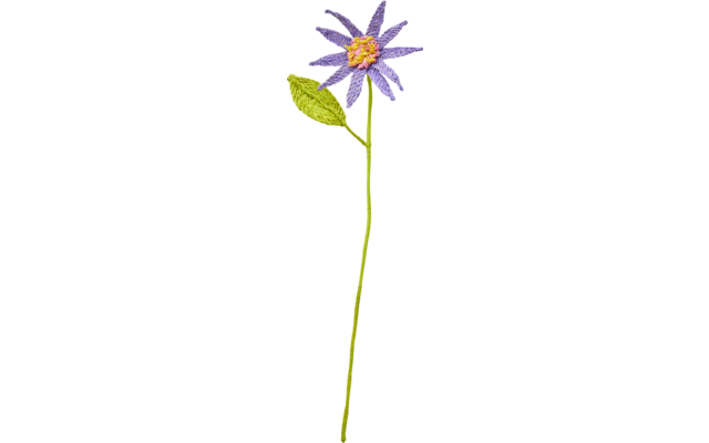 Rice Raffia Blume Star Flower Blau