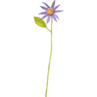 Rice Raffia Blume Star Flower Blau