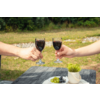 Dos manos chocan copas de vino tinto sobre una mesa gris, en la mesa un plato blanco con uvas verdes y oscuras y una pequeña maceta con planta; césped al fondo