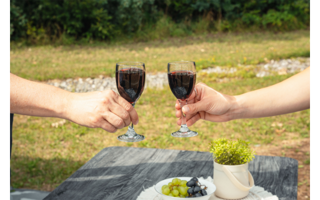 Dos manos chocan copas de vino tinto sobre una mesa gris, en la mesa un plato blanco con uvas verdes y oscuras y una pequeña maceta con planta; césped al fondo