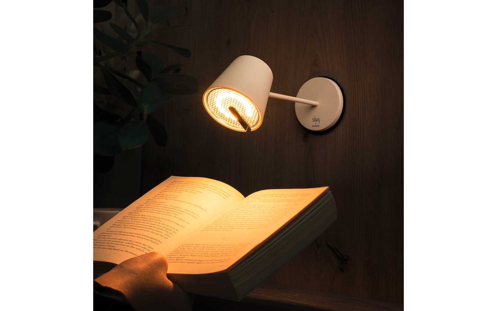 Hand hält ein aufgeschlagenes Buch unter einer eingeschalteten weißen Wandlampe; Holzvertäfelung im Hintergrund, Pflanzenblätter links
