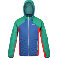 Veste Regatta Trutton pour hommes