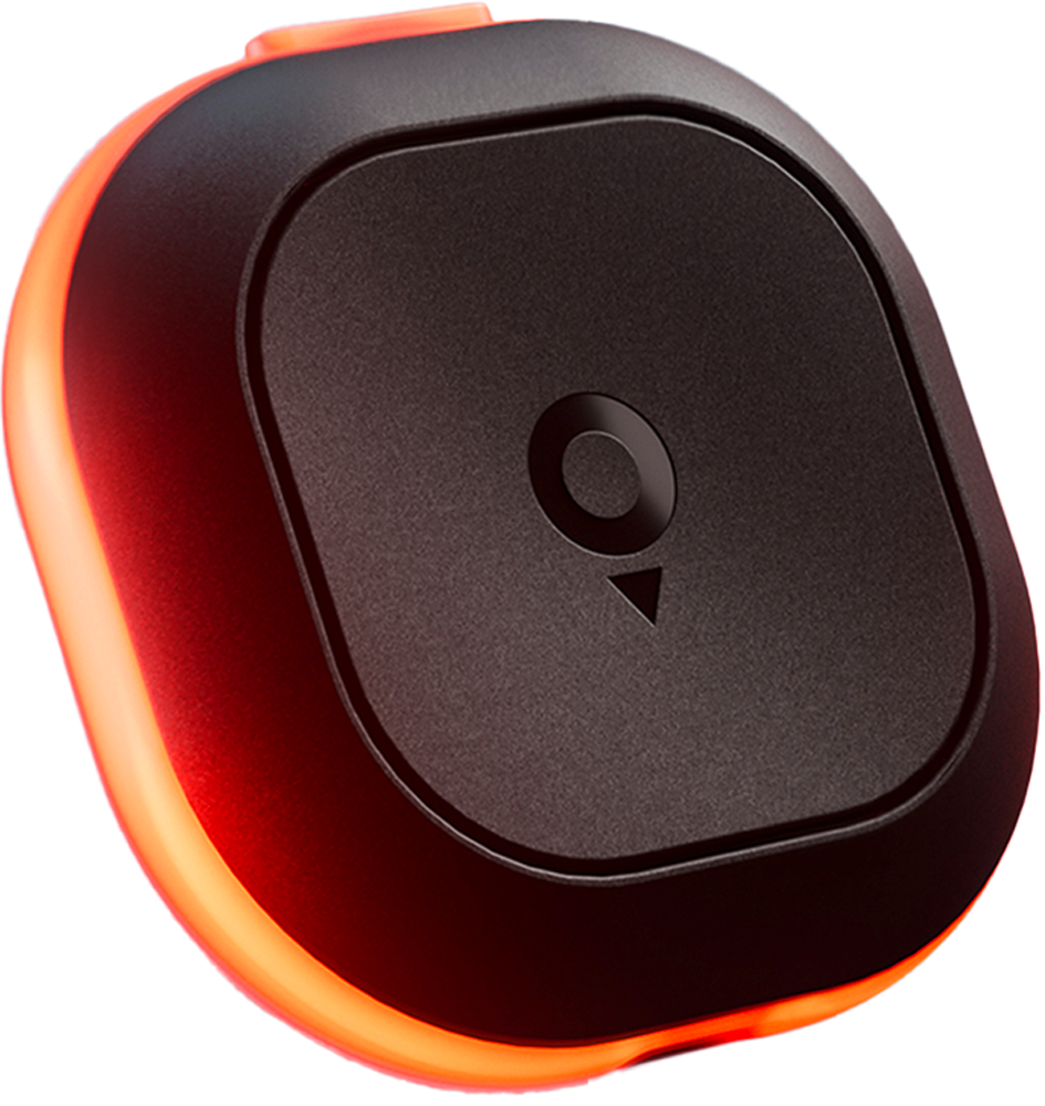 専用tomtom TomTom Traffic Assistant Tom with automatic traffic alerts