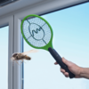 Hand hält ein elektrisches Fliegenklatsche und berührt eine Fliege an einem Fensterrahmen
