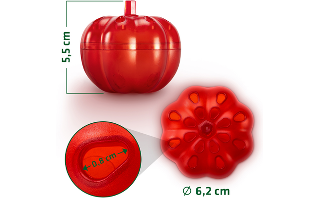 Rote Tomate mit Maßen 5,5 cm Höhe, 6,2 cm Durchmesser und 4,8 cm Breite, Ansicht von oben, unten und Seite