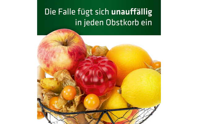 Korb mit verschiedenen Früchten wie Äpfeln, Granatapfel, Orangen und Physalis