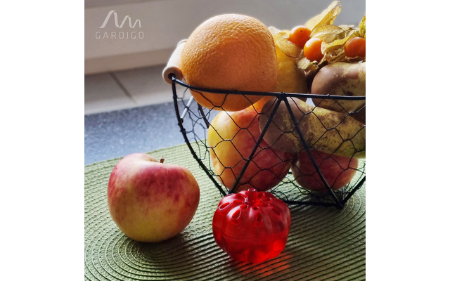 Verschiedene Früchte, darunter ein Apfel und eine Granatapfelflasche, neben einem Drahtkorb mit Grapefruits und anderem Obst auf einer Tischoberfläche
