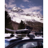Autodach mit montiertem Skiträger und Skiern, im Hintergrund schneebedeckte Berge, Nadelbäume und Himmel mit Wolken