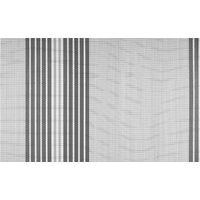 Tapis d'auvent 250 x 400 cm Kinetec 600 Brunner