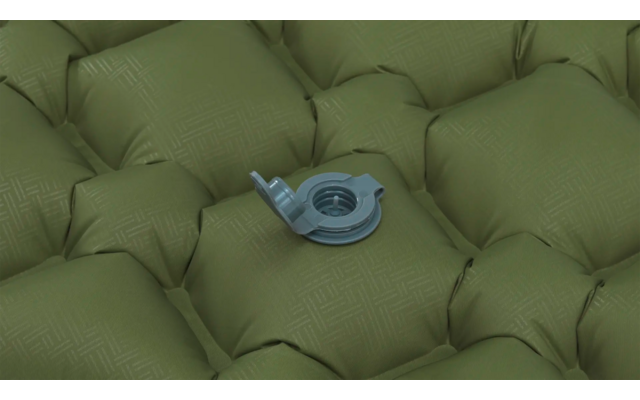 Blaufliegendes Insekt auf einem grünen, gepolsterten Stuhl