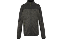 Regatta Elram Herren Fleecejacke