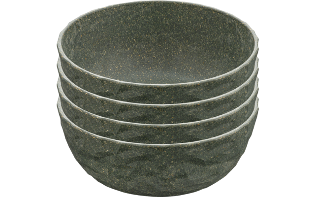 Koziol Club Bowl bowl 700 ml nature ash grey